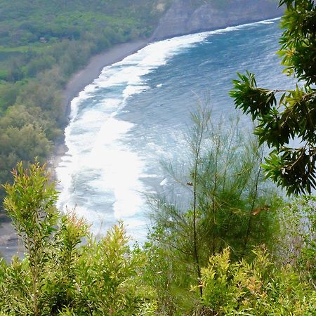Volcano One - Modern Studio With Lanai Near Volcano National Park Екстер'єр фото